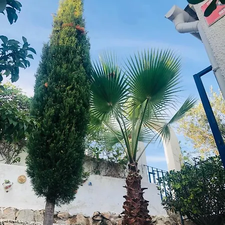 Bella Vista De Castillo Appartement Peñíscola