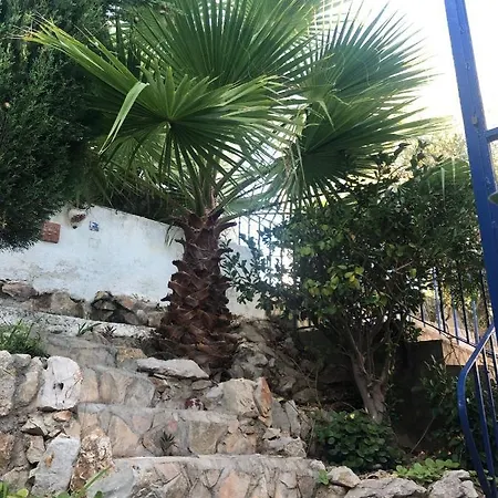 Bella Vista De Castillo Appartement *