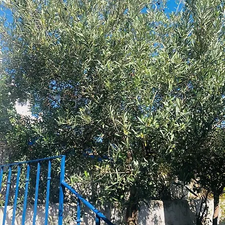 Bella Vista De Castillo Appartamento Peñíscola